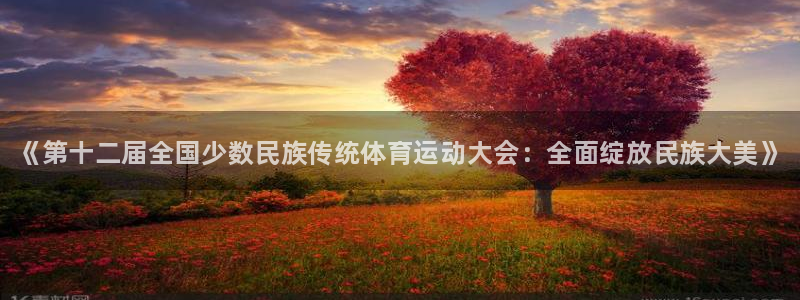 MK体育官网下载平台注册：《第十二届全国少数民族传统
