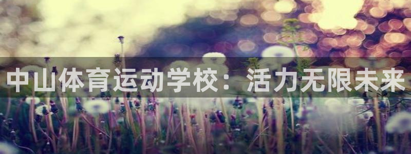 MK体育官网下载平台是正规平台吗