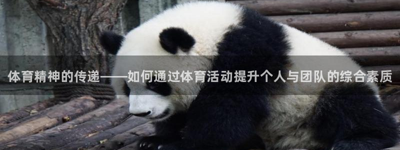 MK体育官方平台体育：体育精神的传递——如何通过体育