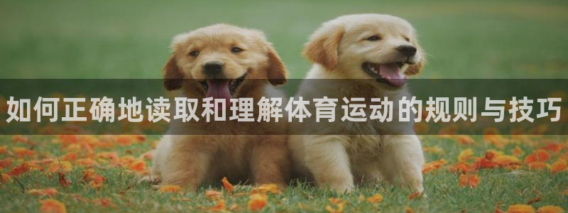 MK体育官方正版app集团E.ON：如何正确地读取和