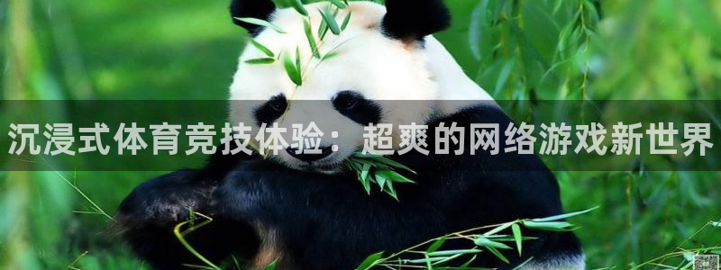 MK体育官方正版app集团：沉浸式体育竞技体验：超爽的网络游