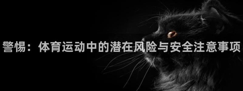 MK体育官方正版app集团E.ON：警惕：体育运动中