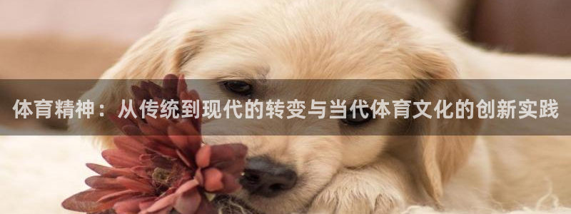 MK体育官方正版app娱乐是那个系列的台子：体育精神：从传统