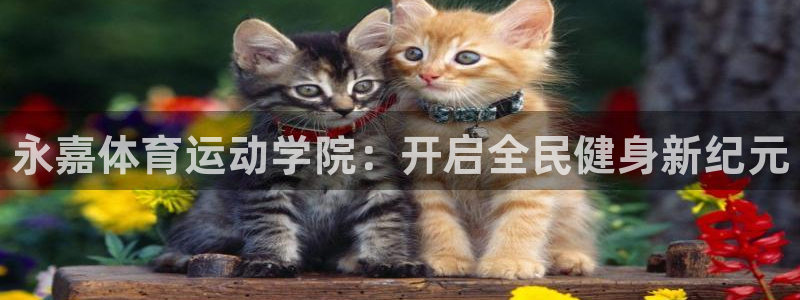MK体育官网下载平台APP：永嘉体育运动学院：开启全民健身新
