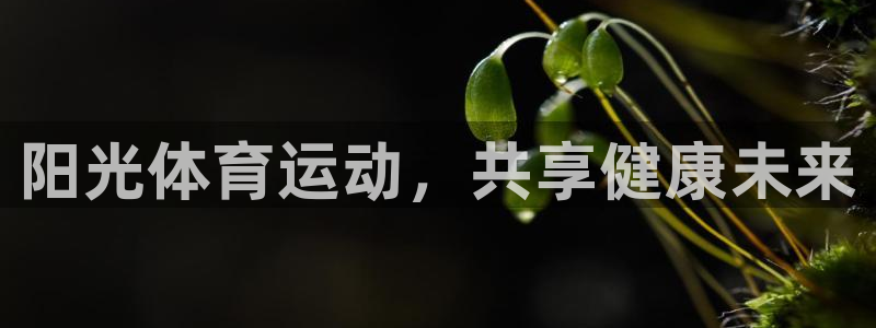 MK体育官网下载招商电话号码是多少啊：阳光体育运动，共享健康