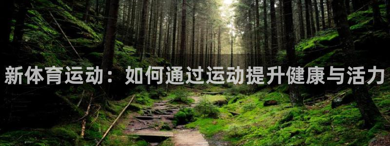德国MK体育官方正版app集团