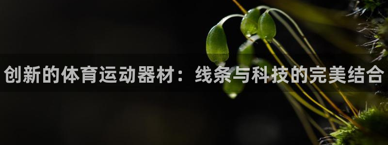 MK体育官方正版app神州：创新的体育运动器材：线条与科技的