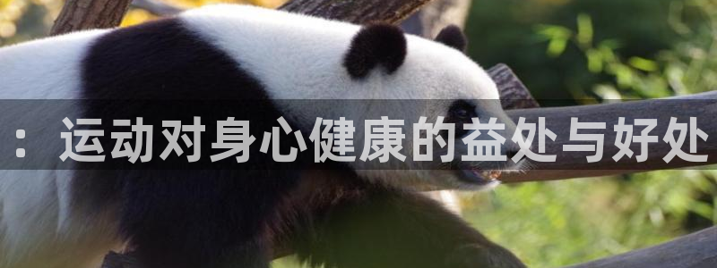 MK体育官网下载平台注册流程视频：：运动对身心健康的益处与好