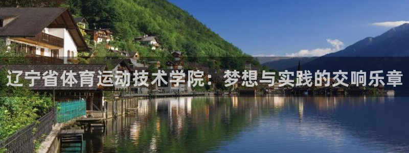 MK体育官网下载平台注册要钱吗：辽宁省体育运动技术学院：梦想
