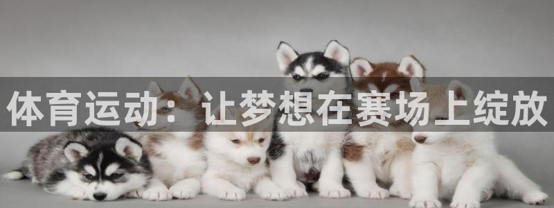 MK体育官方正版app娱乐平台：体育运动：让梦想在赛