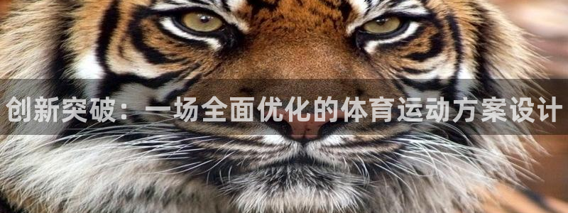 MK体育官网下载招商电话号码是多少号：创新突破：一场
