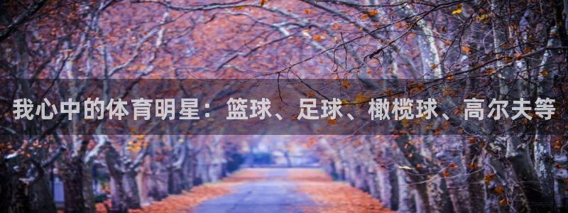 MK体育官方正版app娱乐是那个系列的台子：我心中的