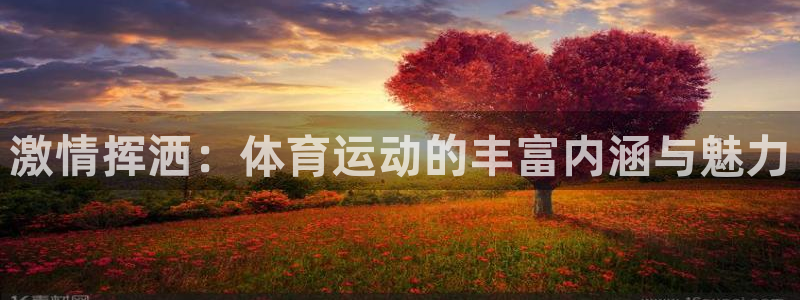 MK体育官方正版app集团官网首页：激情挥洒：体育运动的丰富