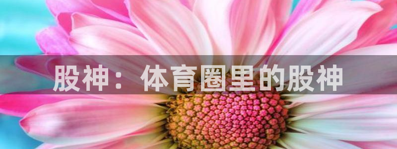 MK体育官网下载招商：股神：体育圈里的股神