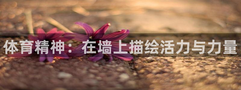 MK体育官方正版app娱乐：体育精神：在墙上描绘活力与力量