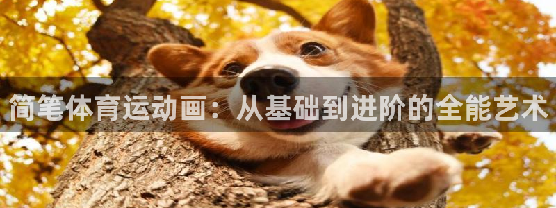 MK体育官网下载娱乐：简笔体育运动画：从基础到进阶的全能艺术