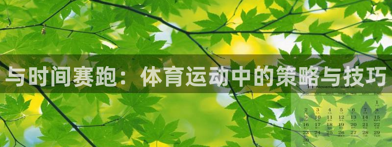 MK体育官网下载招商电话：与时间赛跑：体育运动中的策略与技巧