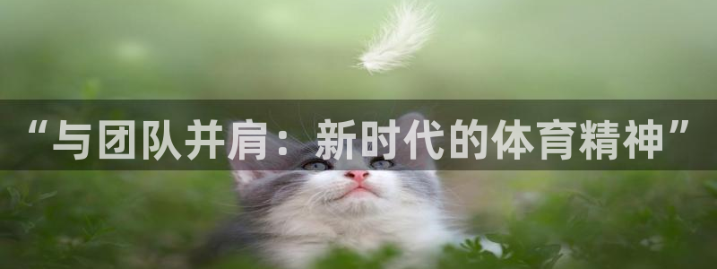 MK体育官网下载软件：“与团队并肩：新时代的体育精神”