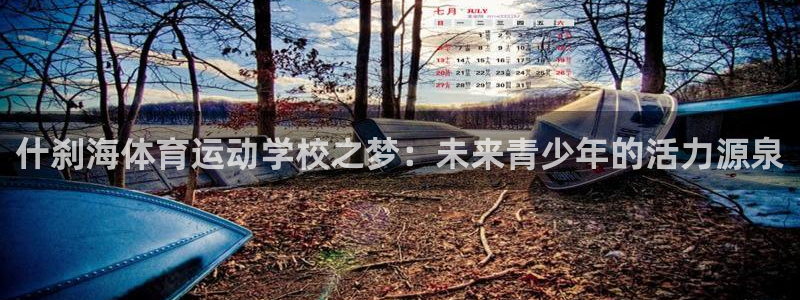 MK体育官方正版app代理：什刹海体育运动学校之梦：未来青少