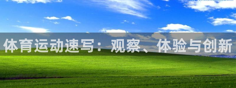 MK体育官方正版app集团官网首页网址：体育运动速写：观察、