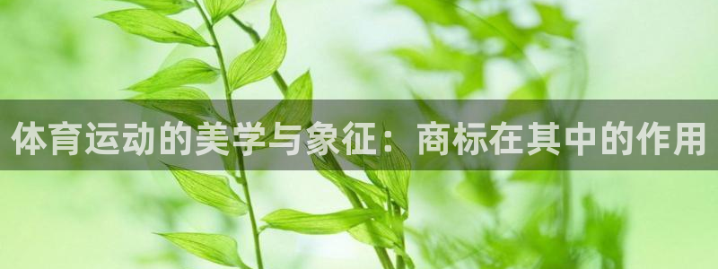 MK体育官网下载招商电话地址查询：体育运动的美学与象征：商标