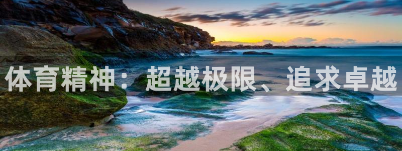 注册MK体育官方正版app：体育精神：超越极限、追求卓越