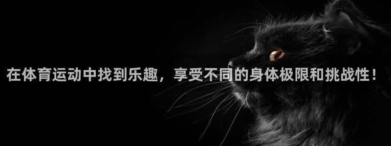 MK体育官方正版app集团E.ON：在体育运动中找到乐趣，享