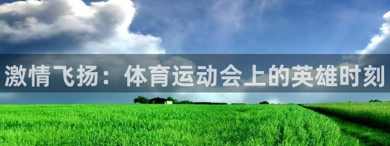 MK体育官方正版app五金厂：激情飞扬：体育运动会上的英雄时